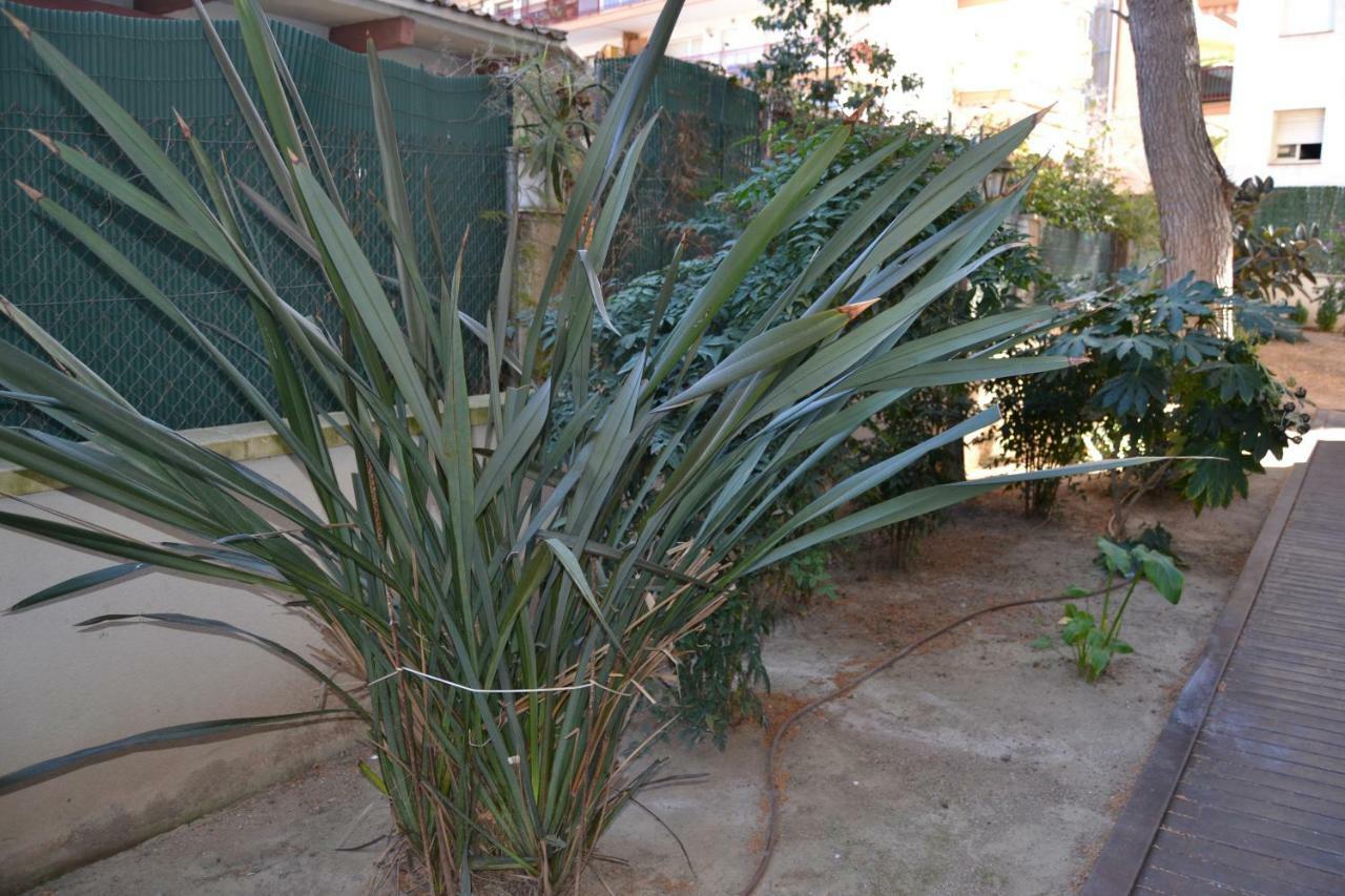 Ferienwohnung Fabuloso Apartamento Familiar Con Piscina En Salou Exterior foto